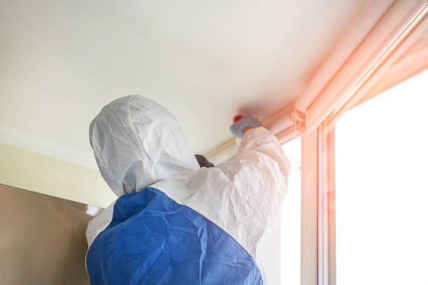 Why You Should Choose Our Mold Remediation Services in Fairfield, OH